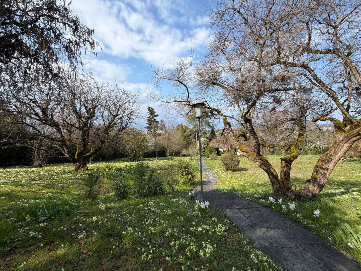 Exclusive: - Photo 7 of 10