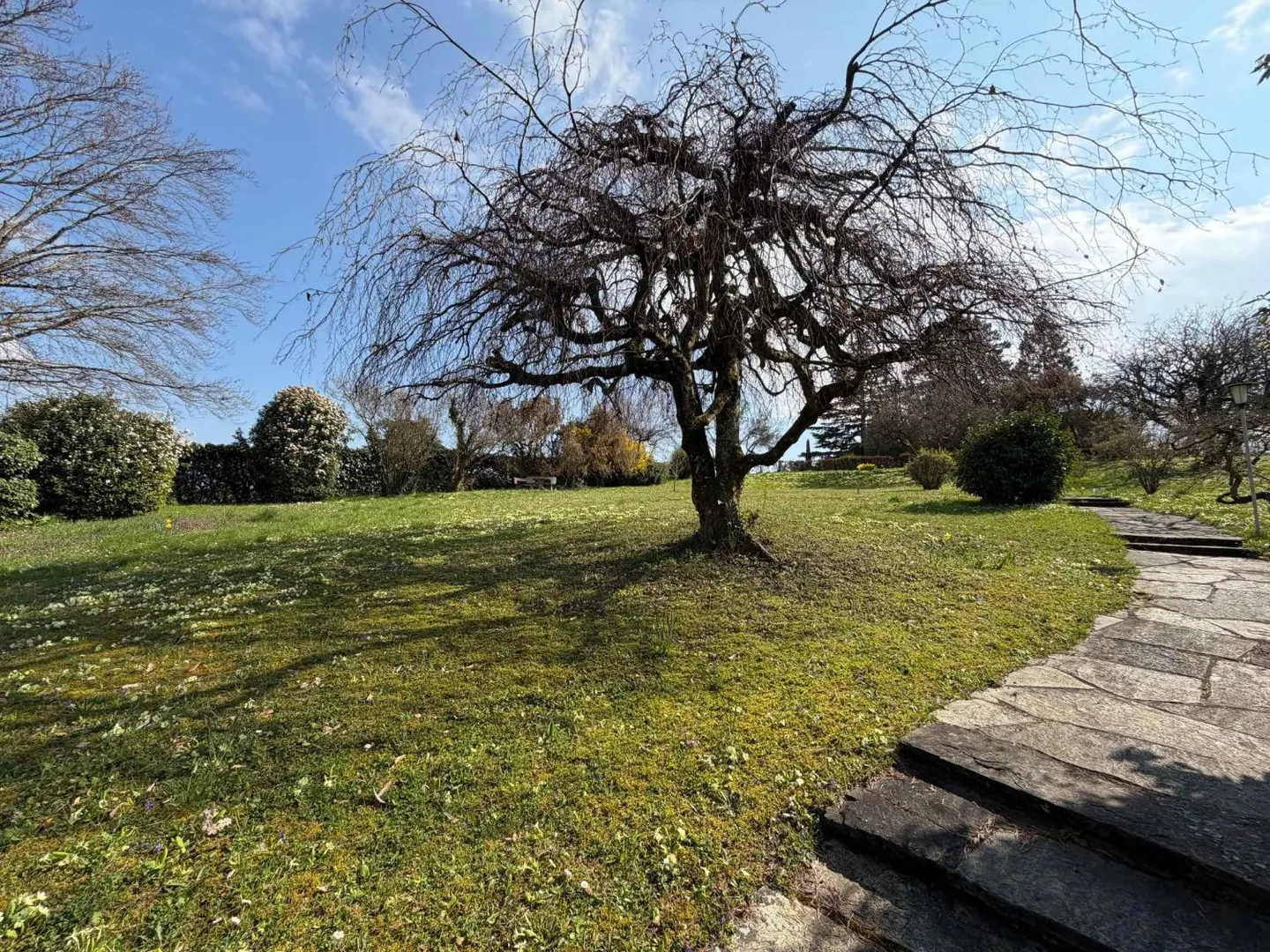 Exclusive: - Photo 8 of 10