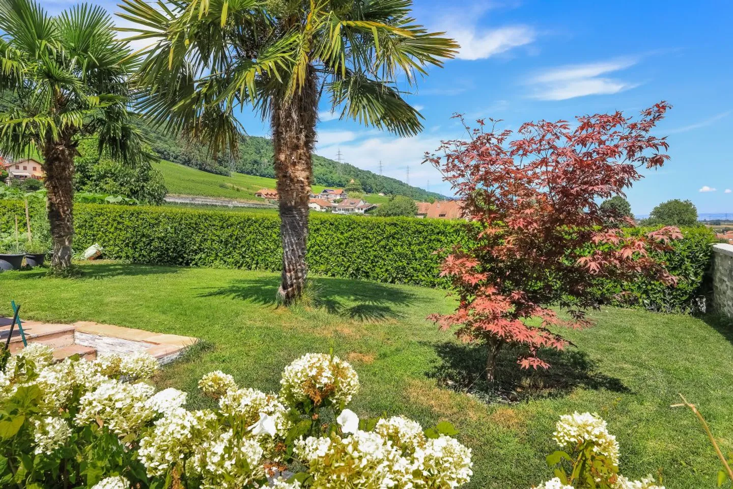 Casa a schiera 5.5 stanze - Foto 5 di 5