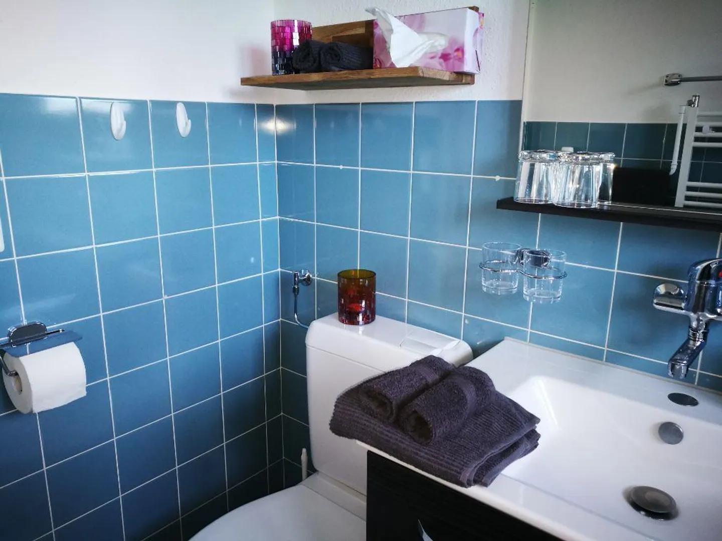 Appartamento giardino 2,5 stanze completamente arredato - Foto 10 di 11