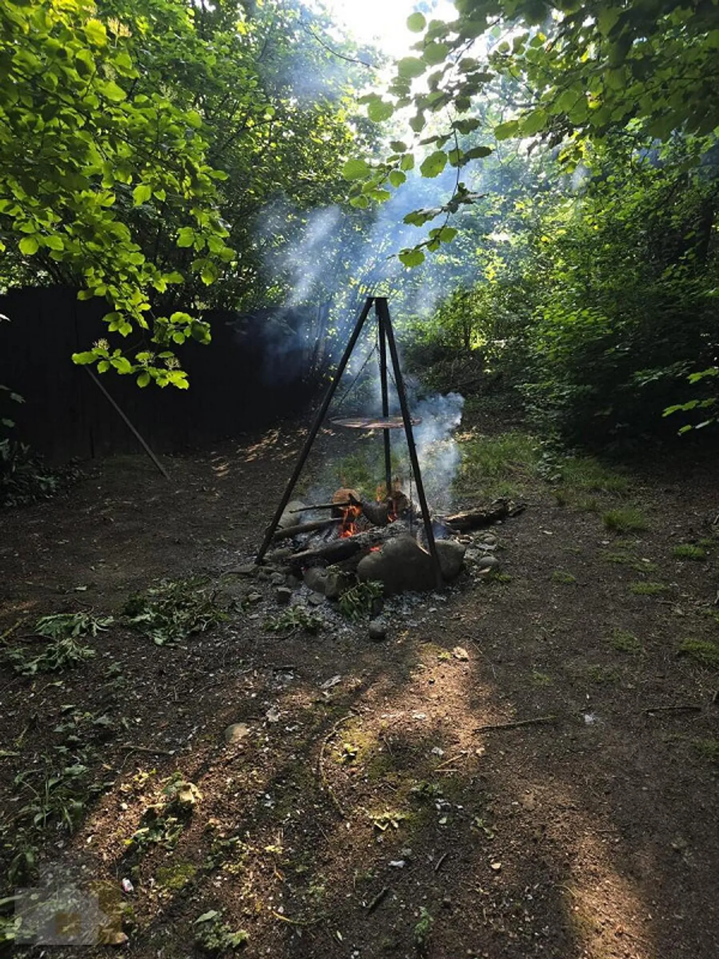 Zimmer in Villa mit Garten - Foto 3 von 8