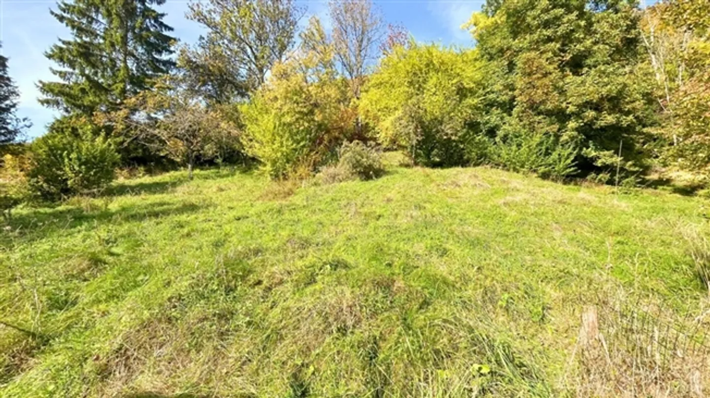 Rare opportunity in Sonvilier - flat land of 1,200 m², ideal for a profitable real estate project - Photo 9 of 10