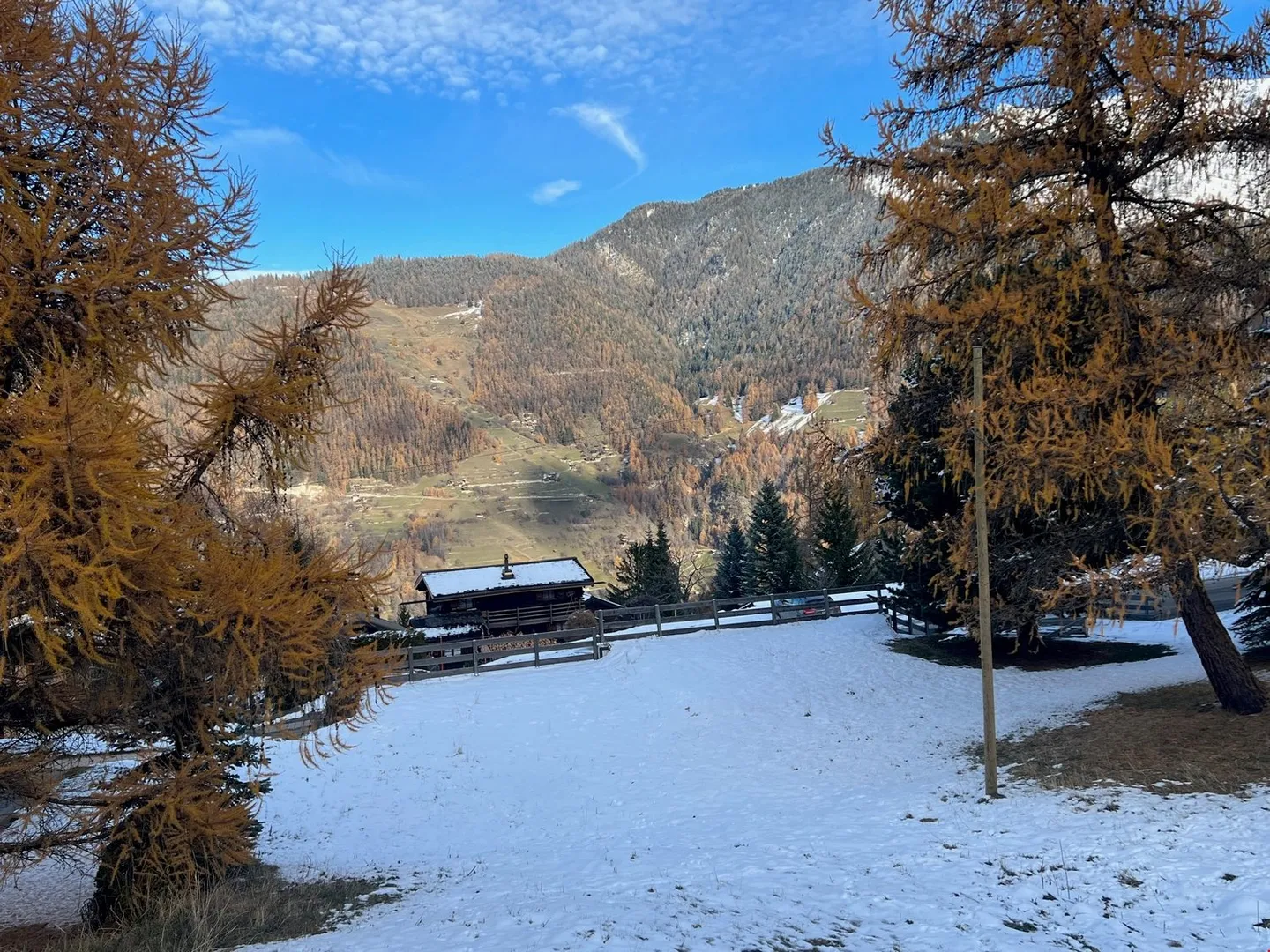 In vendita: lotto di 669 m2 a La Tzoumaz/4 Vallées, vicino al centro - Foto 3 di 6