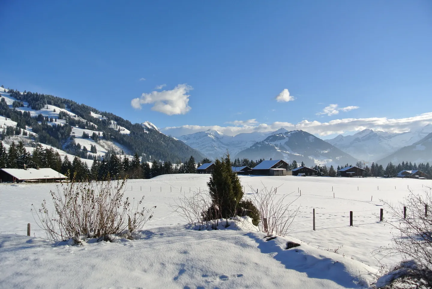 Ferienwohnung Chalet Juniperus - Foto 6 von 6