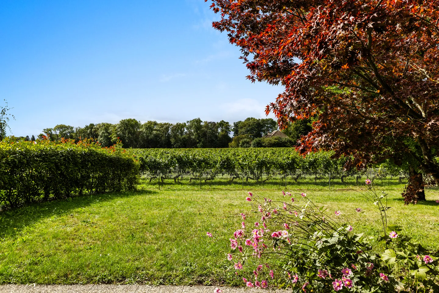 Villa lumineuse à rénover - Photo 1 sur 7