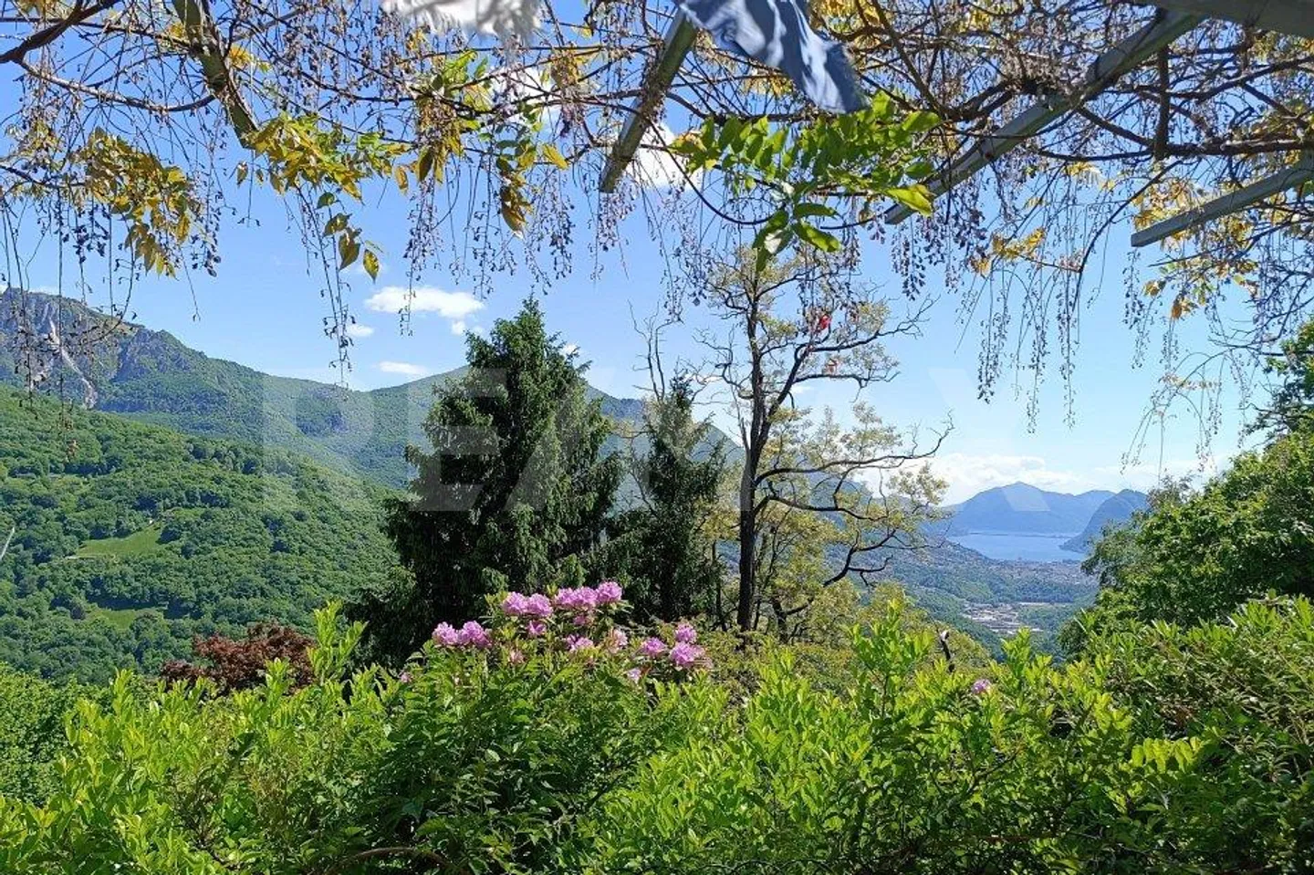 Un refuge dans le vert Maison de vacances rustique avec vue dégagée sur le lac de Lugano - Photo 1 sur 13