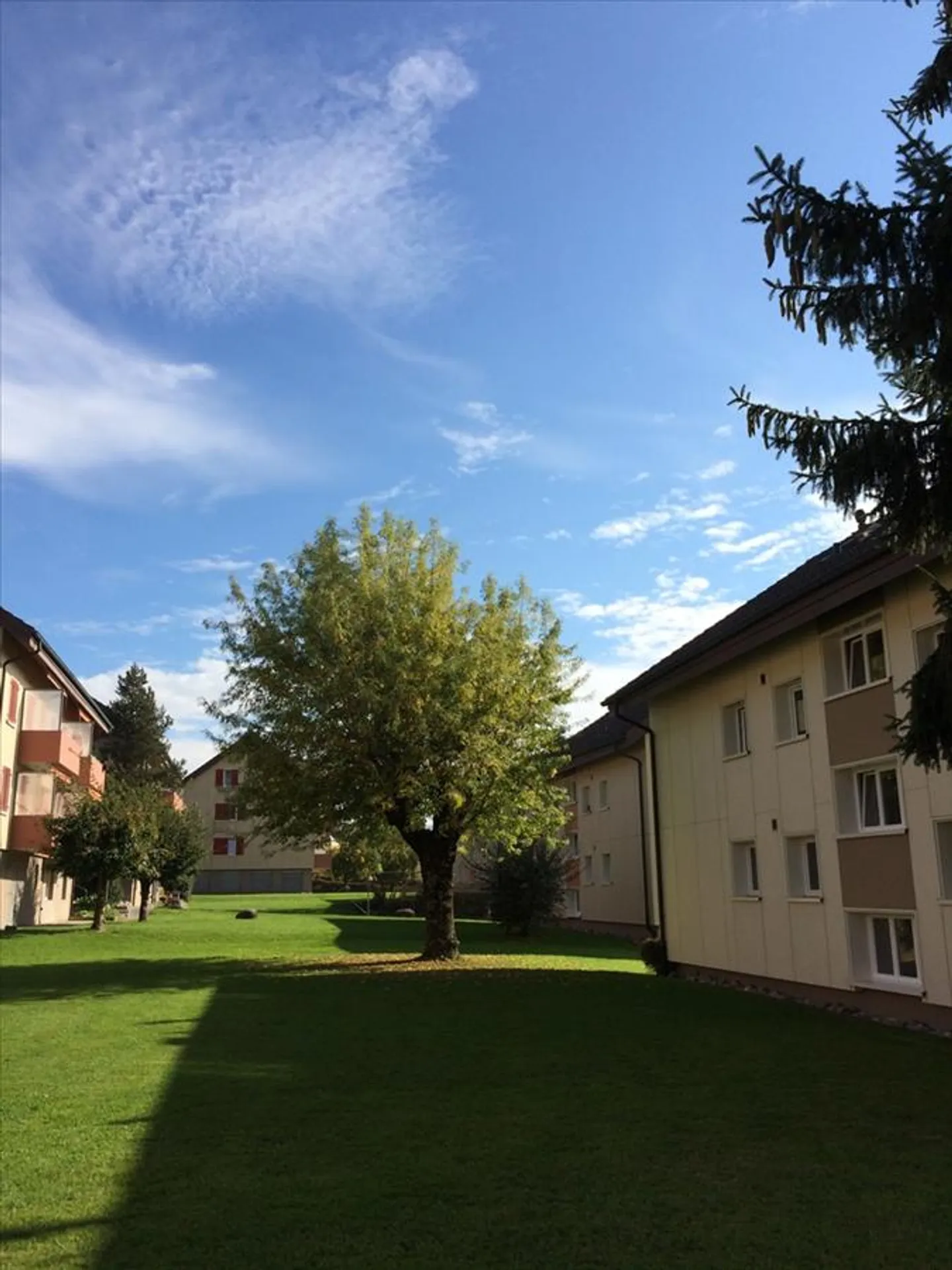 Alles mit Parkett! - Foto 2 von 9