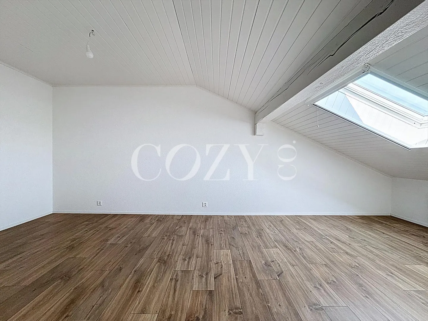Bright and fully renovated - Photo 4 of 10