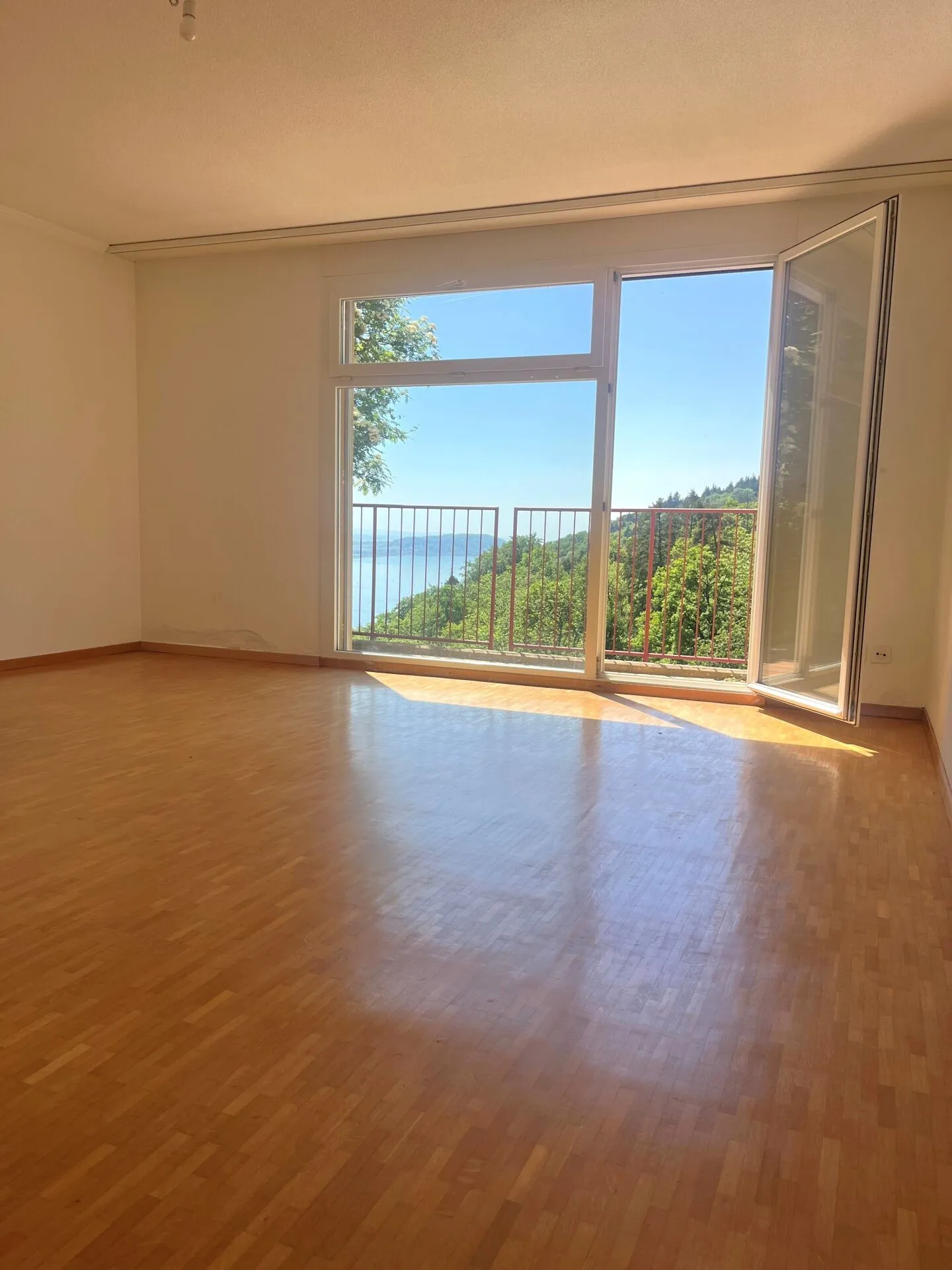 Appartement de 6,5 pièces (vacances) avec vue sur le lac - Votre oasis au lac de Bienne ! - Photo 8 sur 18