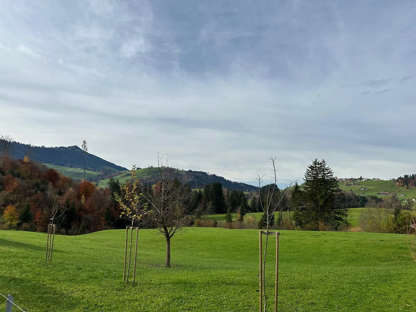 First occupancy large 2.5 / 3.5 / 4.5 room apartments - Photo 8 of 8