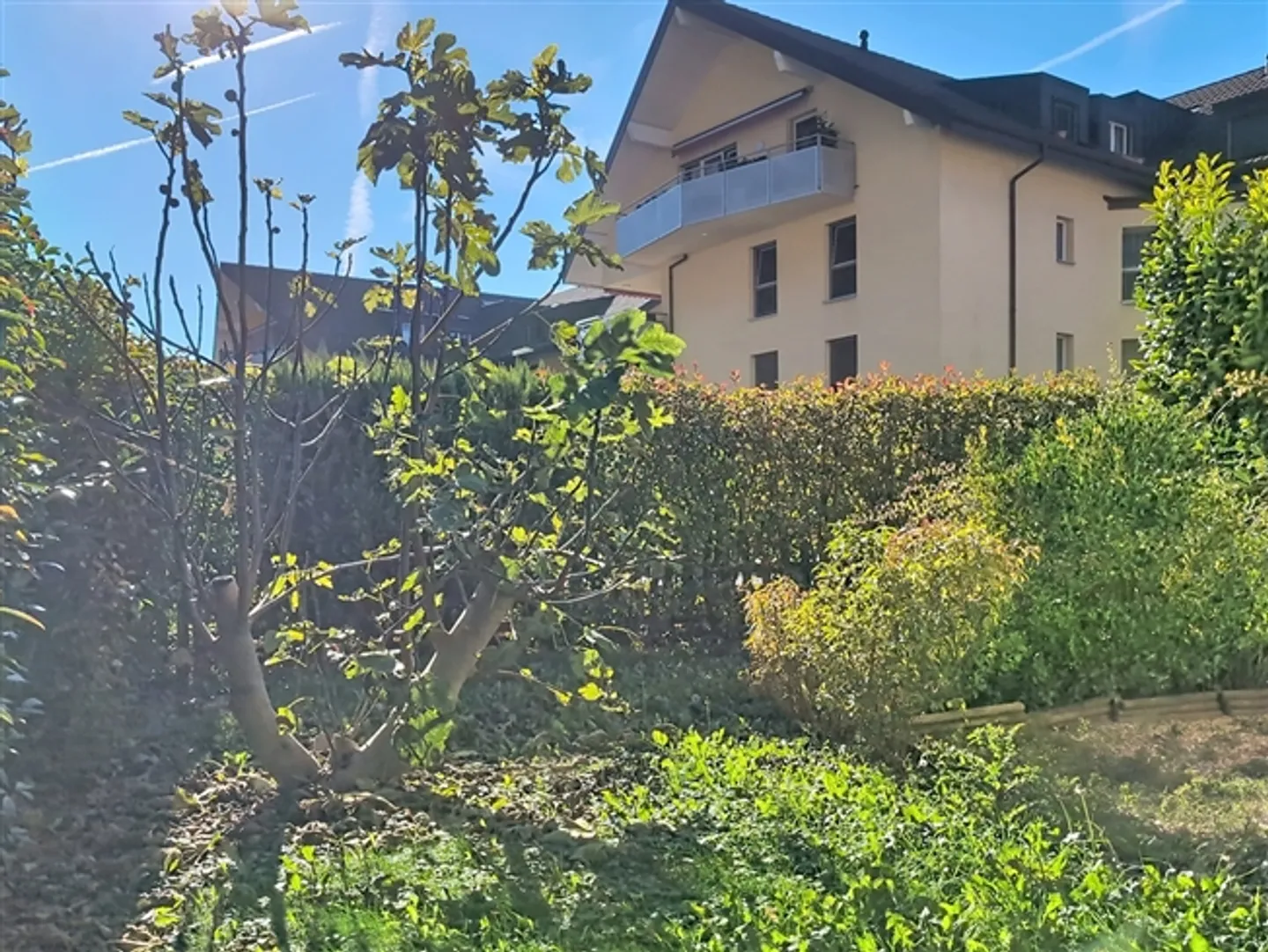 Charmante Erdgeschosswohnung - Foto 8 von 8