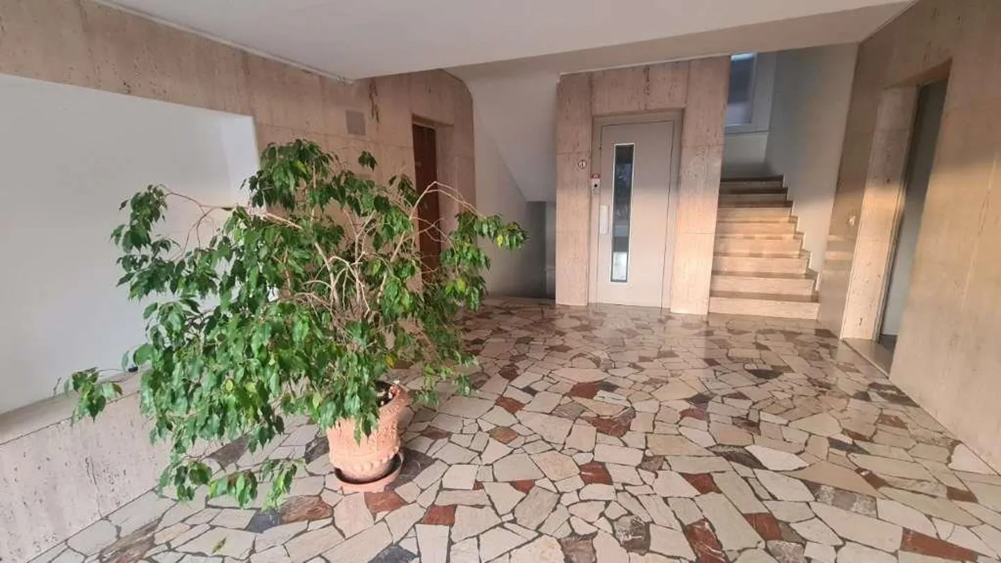 VACALLO : BEAU BUREAU-APPARTEMENT 2 CHAMBRES AVEC GARAGE - Photo 5 sur 6