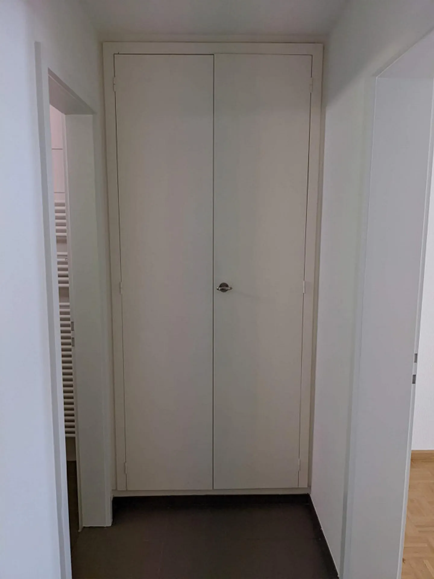 Beautiful, Quiet 3.5-Room Apartment in Reinach - Photo 11 of 12