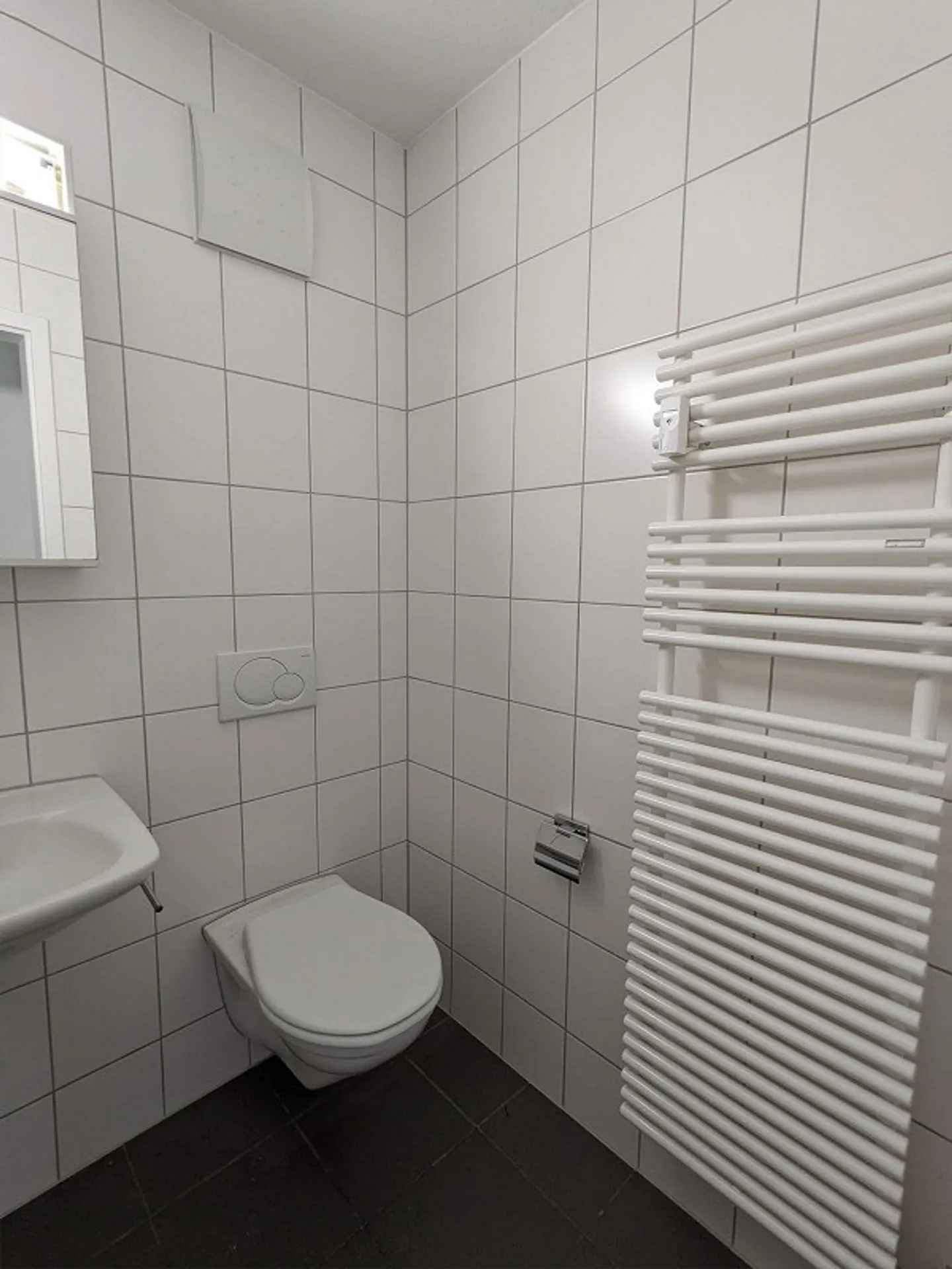 Beautiful, Quiet 3.5-Room Apartment in Reinach - Photo 5 of 12