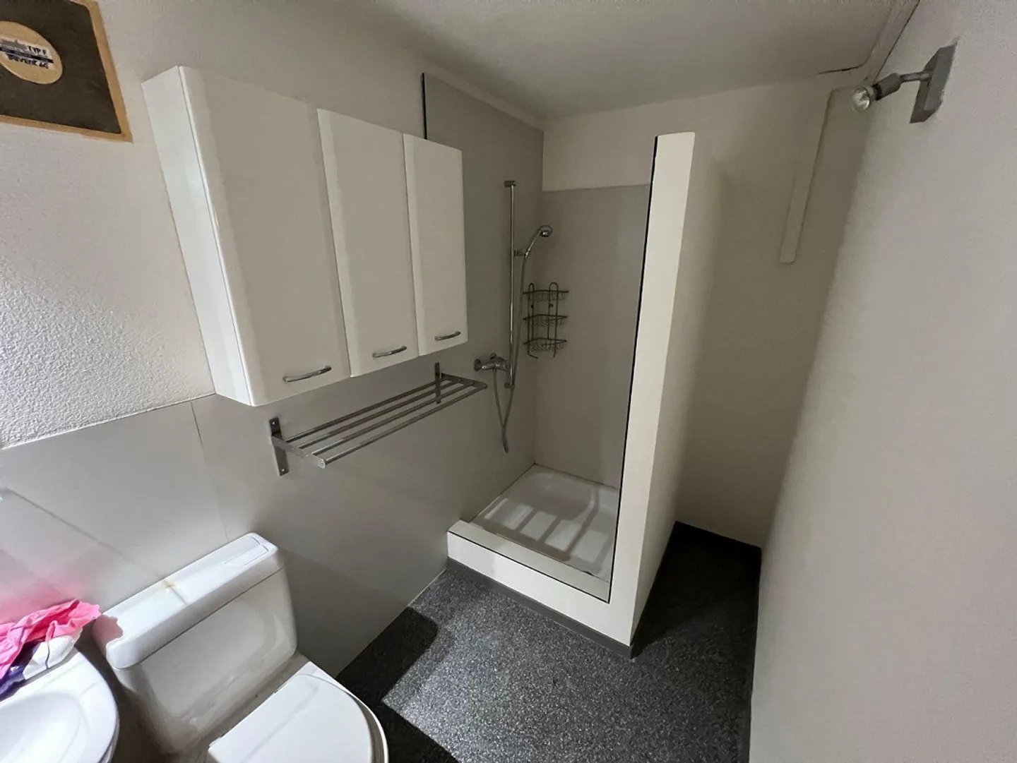 Vielseitige Gewerbefläche in Lausen - Foto 19 von 19