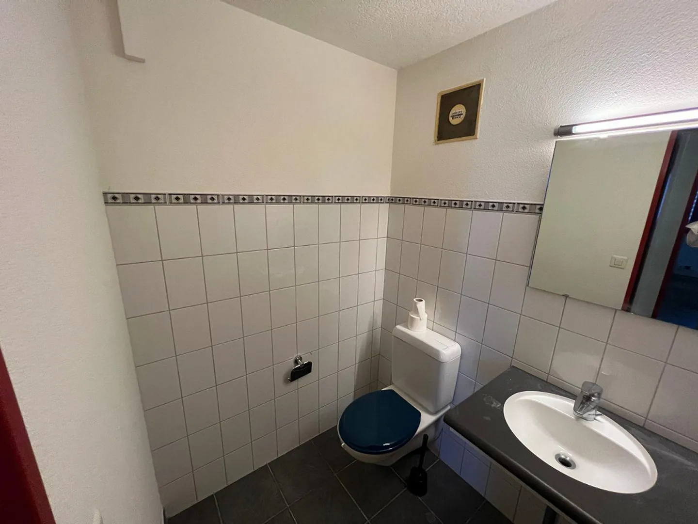 Vielseitige Gewerbefläche in Lausen - Foto 18 von 19