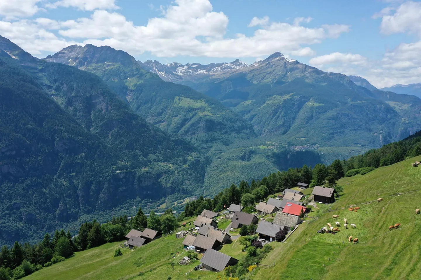Pure mountain idyll - rustic holiday home in the beautiful Leventina with magnificent views - Photo 1 of 20