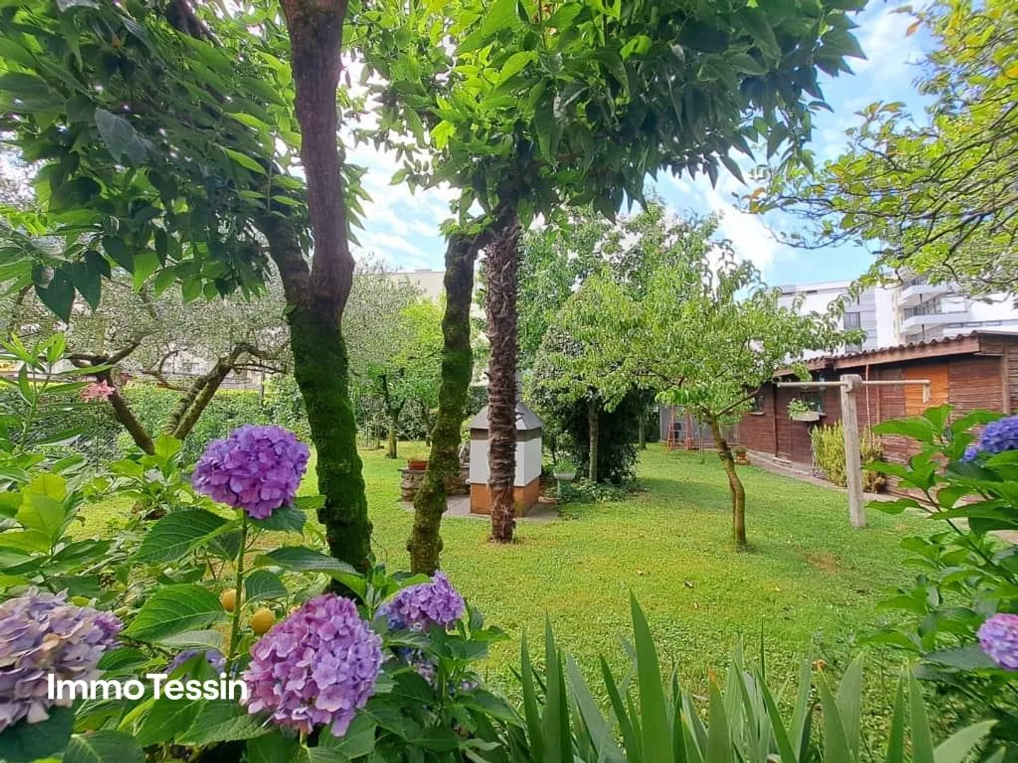 Villa spaziosa e affascinante, un'oasi di calma nel cuore di Giubiasco... - Foto 2 di 13