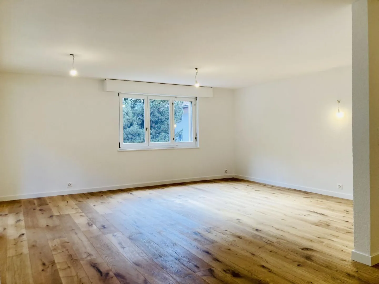 Renovierte Wohnung in Baar 7 Minuten von Sion - Foto 3 von 7