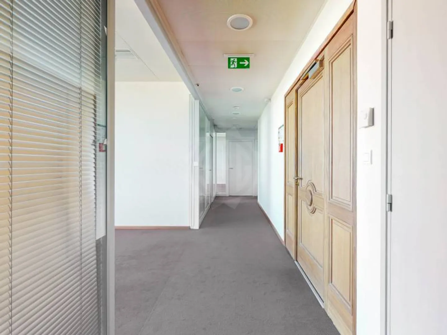 Large Offices - Le Grand-Saconnex - Photo 5 of 10