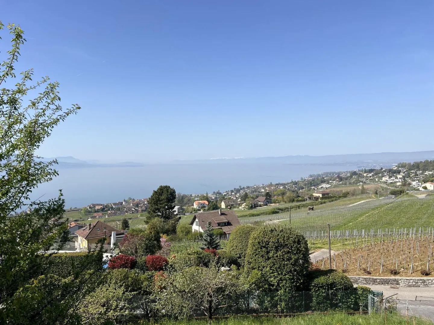 Preferito tra lago e vigneti, in completa intimità - Foto 3 di 13