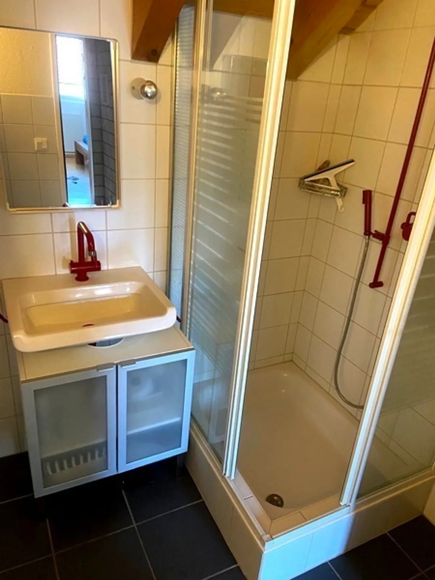 Casa singola in affitto - Foto 6 di 9