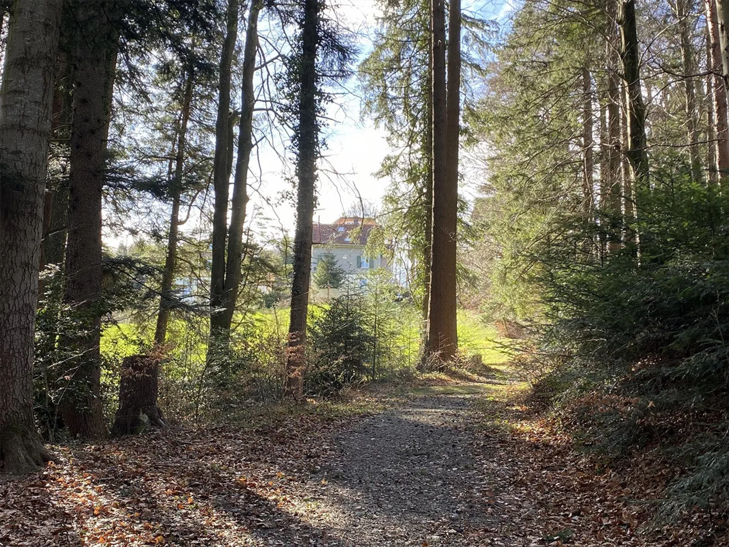 Geräumiges Loft zum Wohnen & Arbeiten - Foto 3 von 21