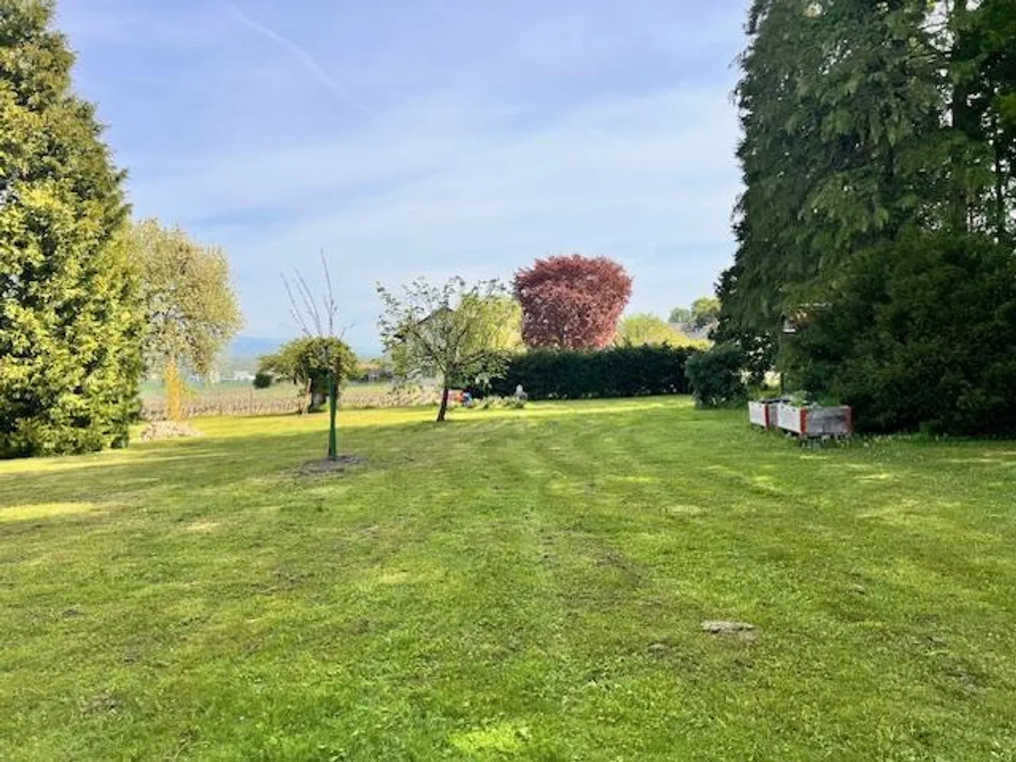 House with 16 rooms - Photo 5 of 13