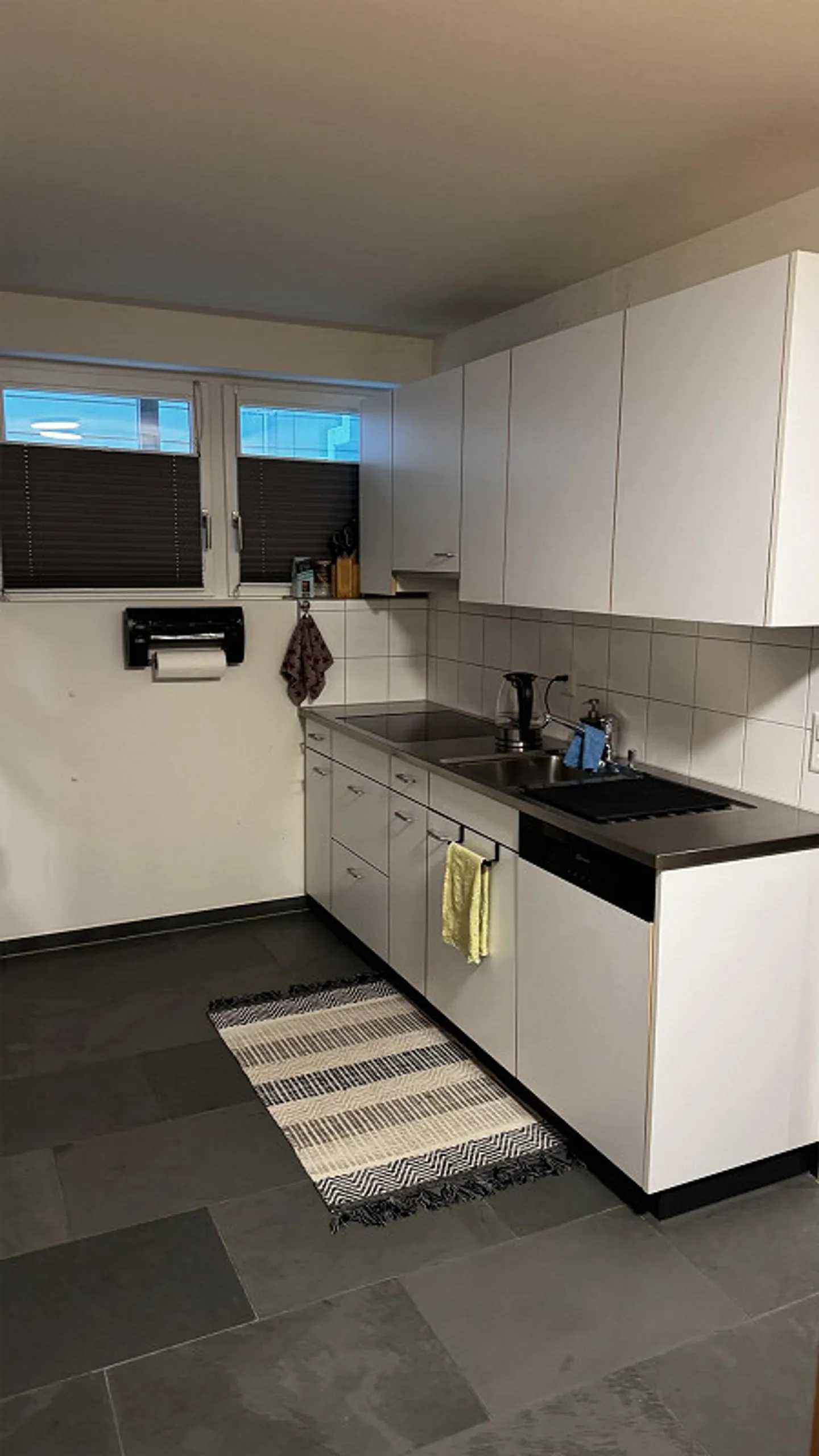 4.5 room apartment with approx. 112m2, large terrace/private garden, near the lake - Photo 6 of 16