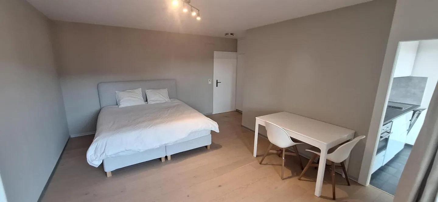 Studio for sale - Photo 2 of 8