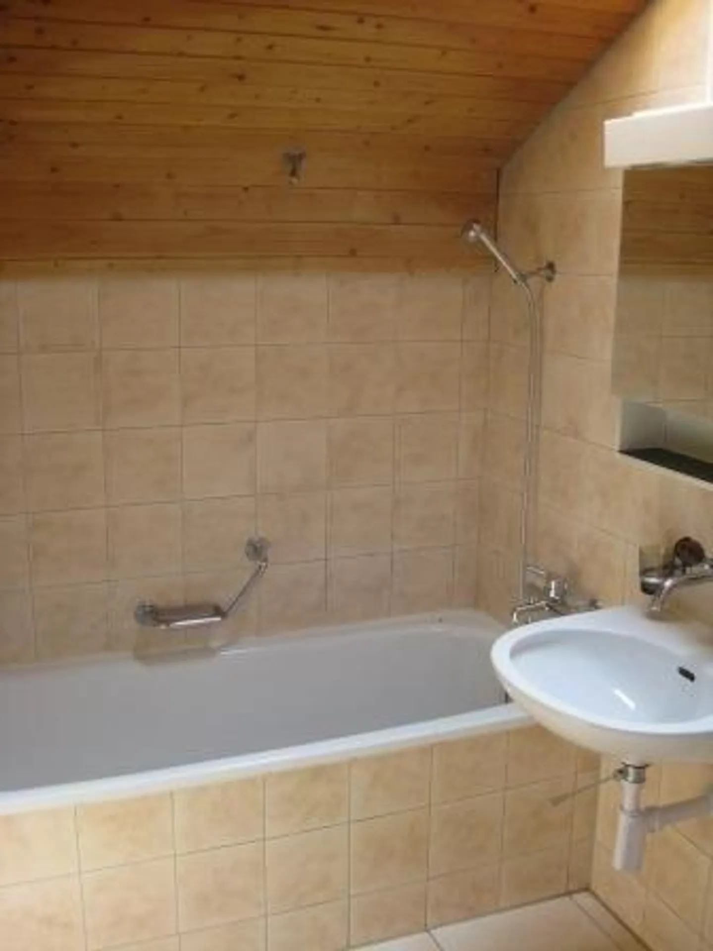 Attico cerca single! - Foto 6 di 7