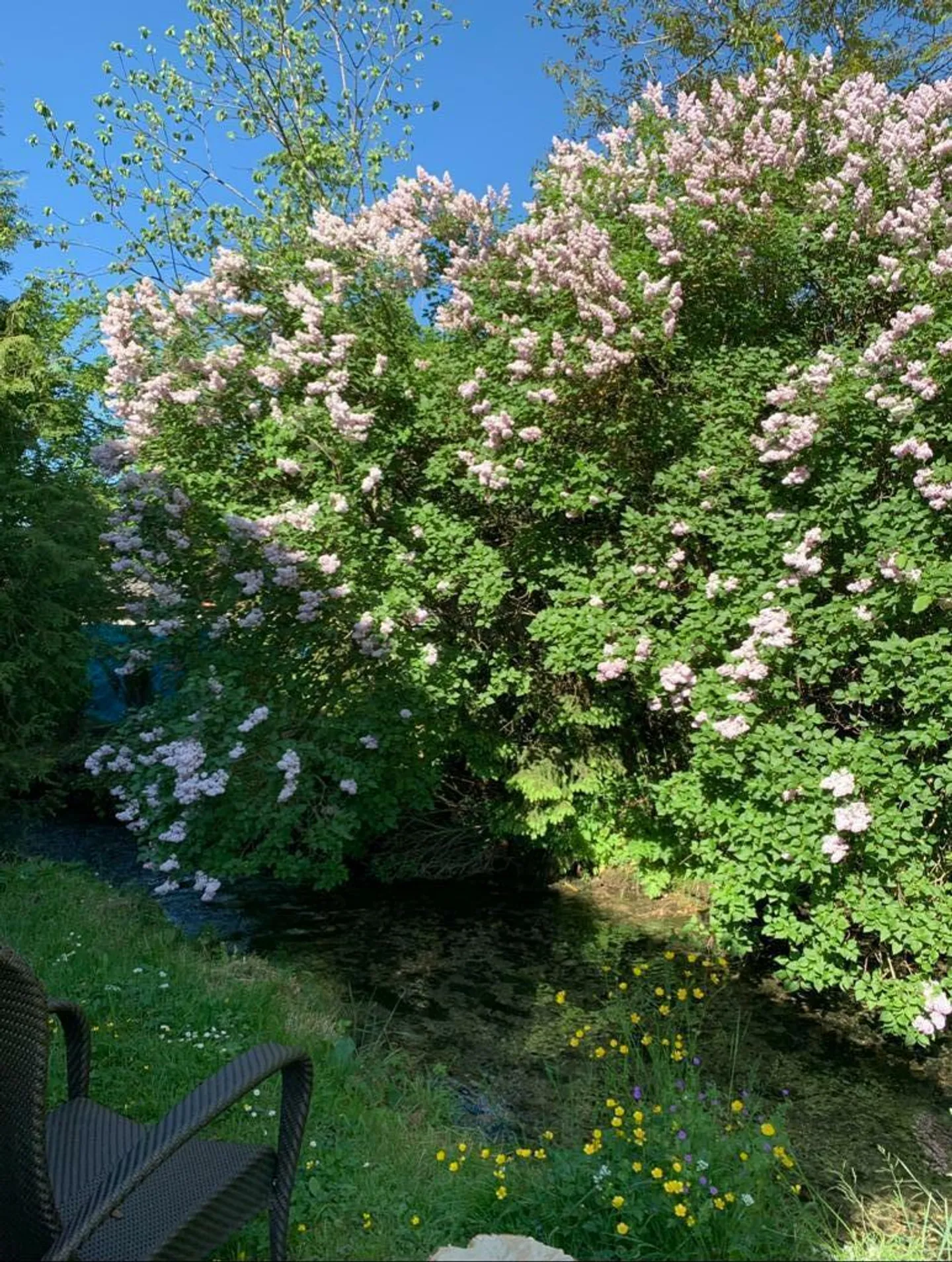 Einzigartiges Haus, viele Möglichkeiten, ideal für Selbstständige - Foto 12 von 29