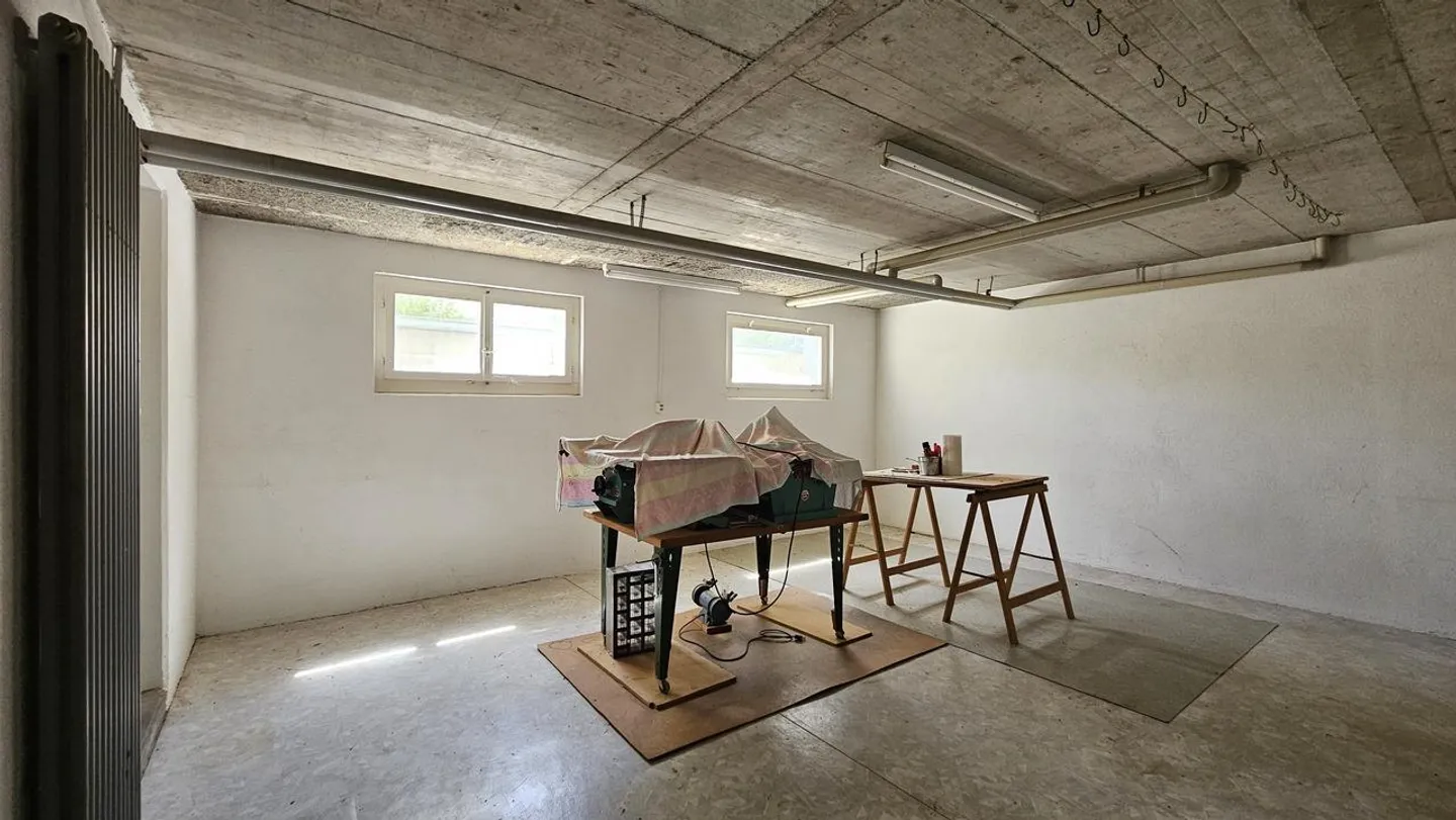 Detached 5-Room Family House in Thayngen - Photo 13 of 19