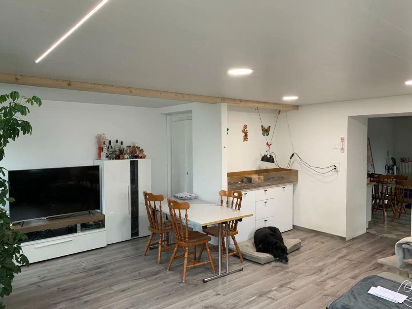 Einzigartiges Haus, viele Möglichkeiten, ideal für Selbstständige - Foto 19 von 29