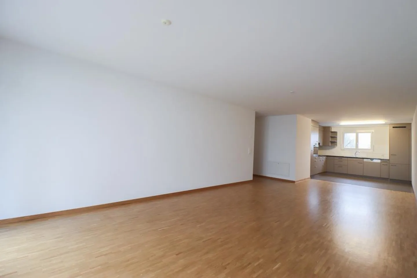 Spacious apartment with plenty of space and sunny garden seating area - Photo 2 of 8