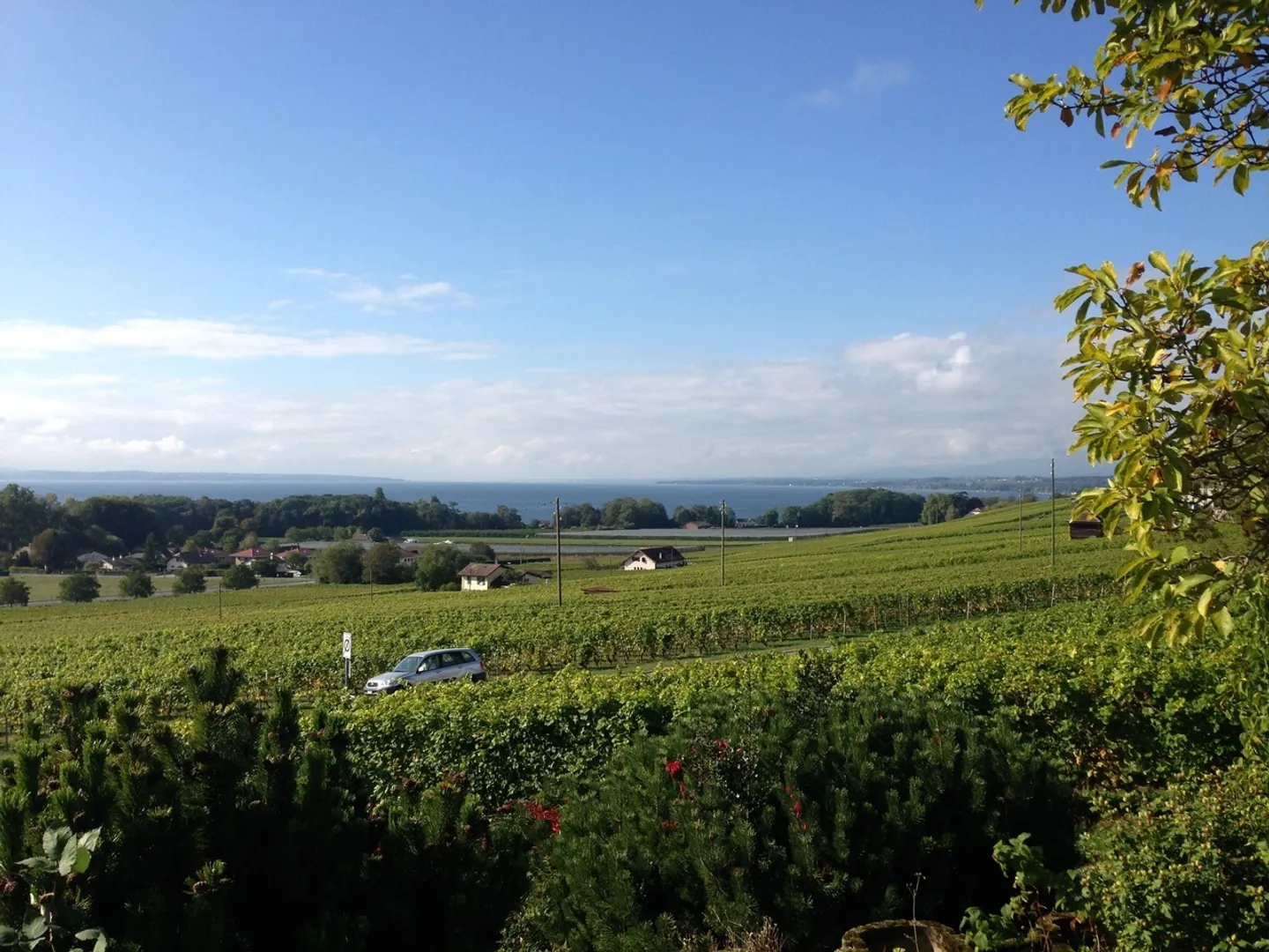 Close to amenities, furnished room in shared accommodation in a villa - Photo 6 of 6