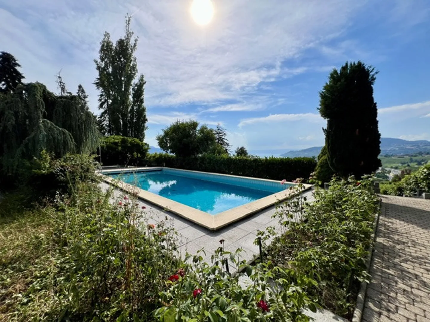 Beautiful and very spacious architect-designed villa, 12 rooms, 2800 m2 intimate land - Photo 1 of 13