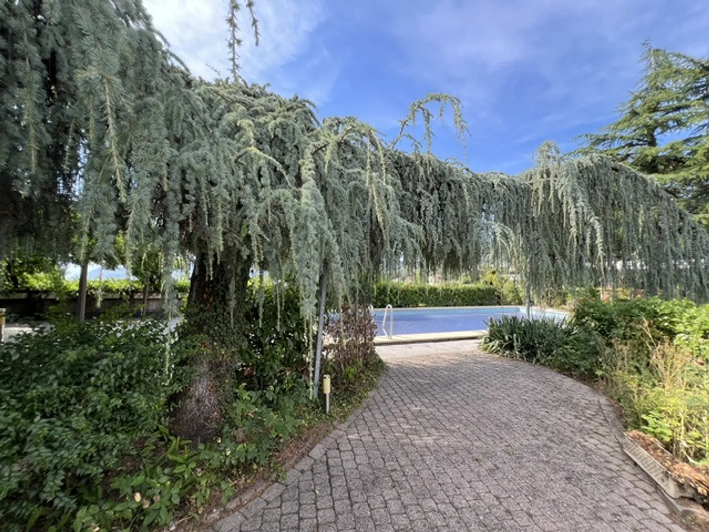 Beautiful and very spacious architect-designed villa, 12 rooms, 2800 m2 intimate land - Photo 12 of 13