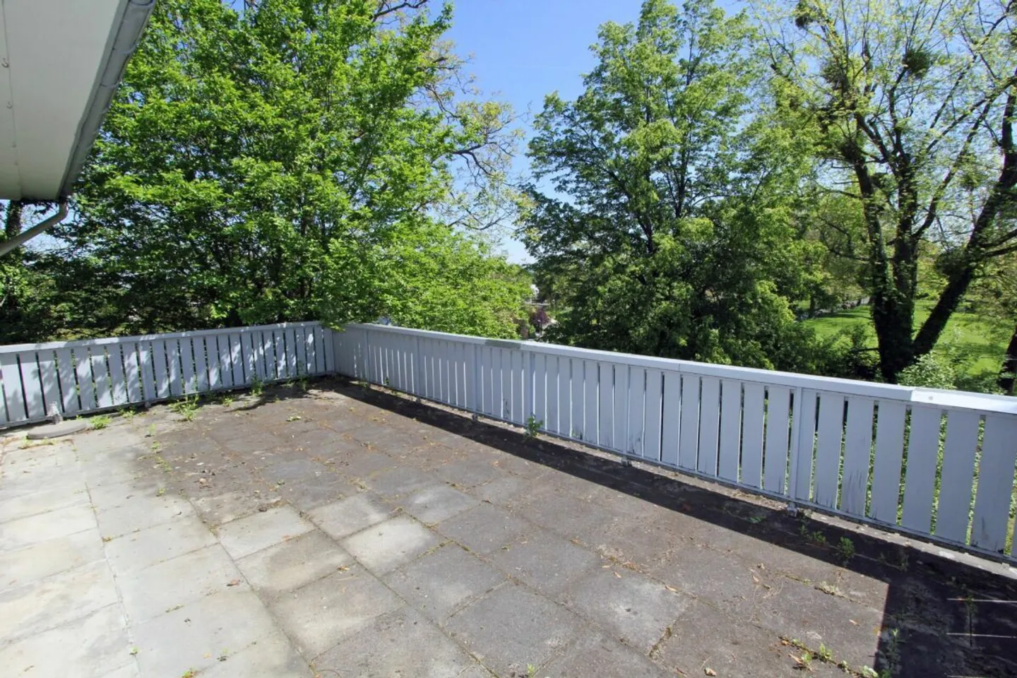 Historic Property with Potential - Photo 10 of 15
