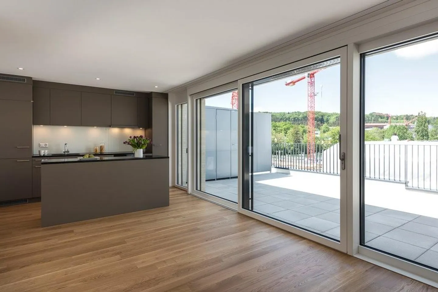 Dream home directly on the Reuss with three terraces - Photo 6 of 11