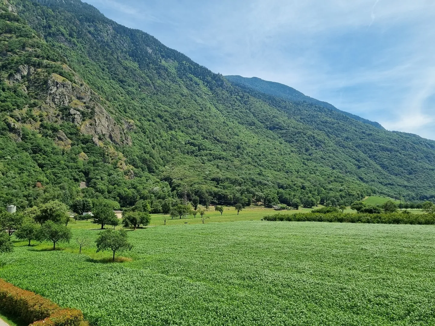 Incantevole appartamento di 3,5 stanze con bella vista libera - Foto 3 di 11