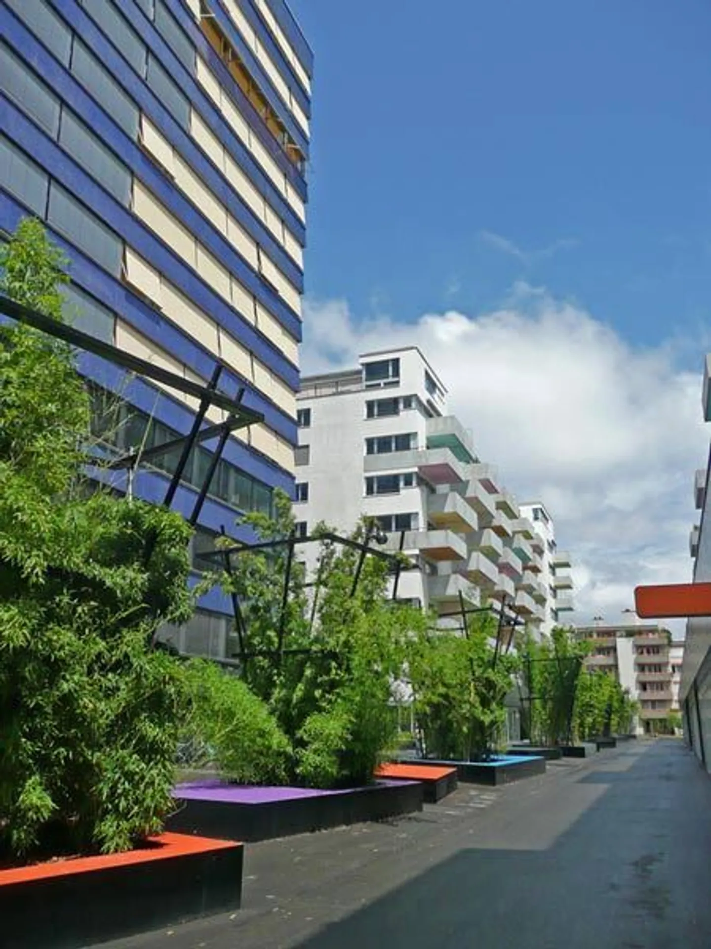 James Albisrieden - Environnement Exclusif - Photo 1 sur 1