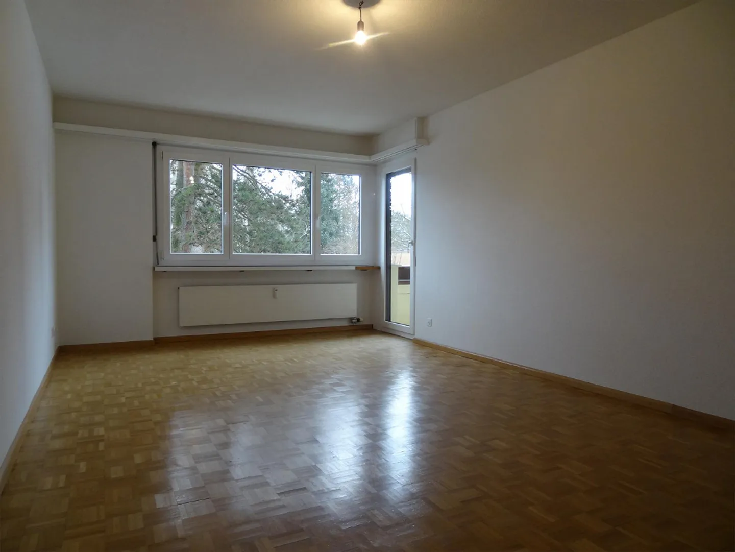 Large 4.5-room apartment for rent in the Mischeli development - Photo 2 of 8