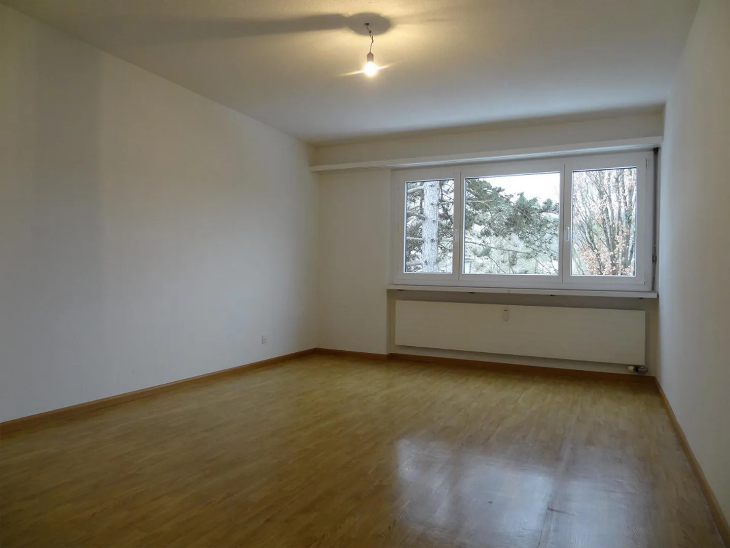 Large 4.5-room apartment for rent in the Mischeli development - Photo 4 of 8