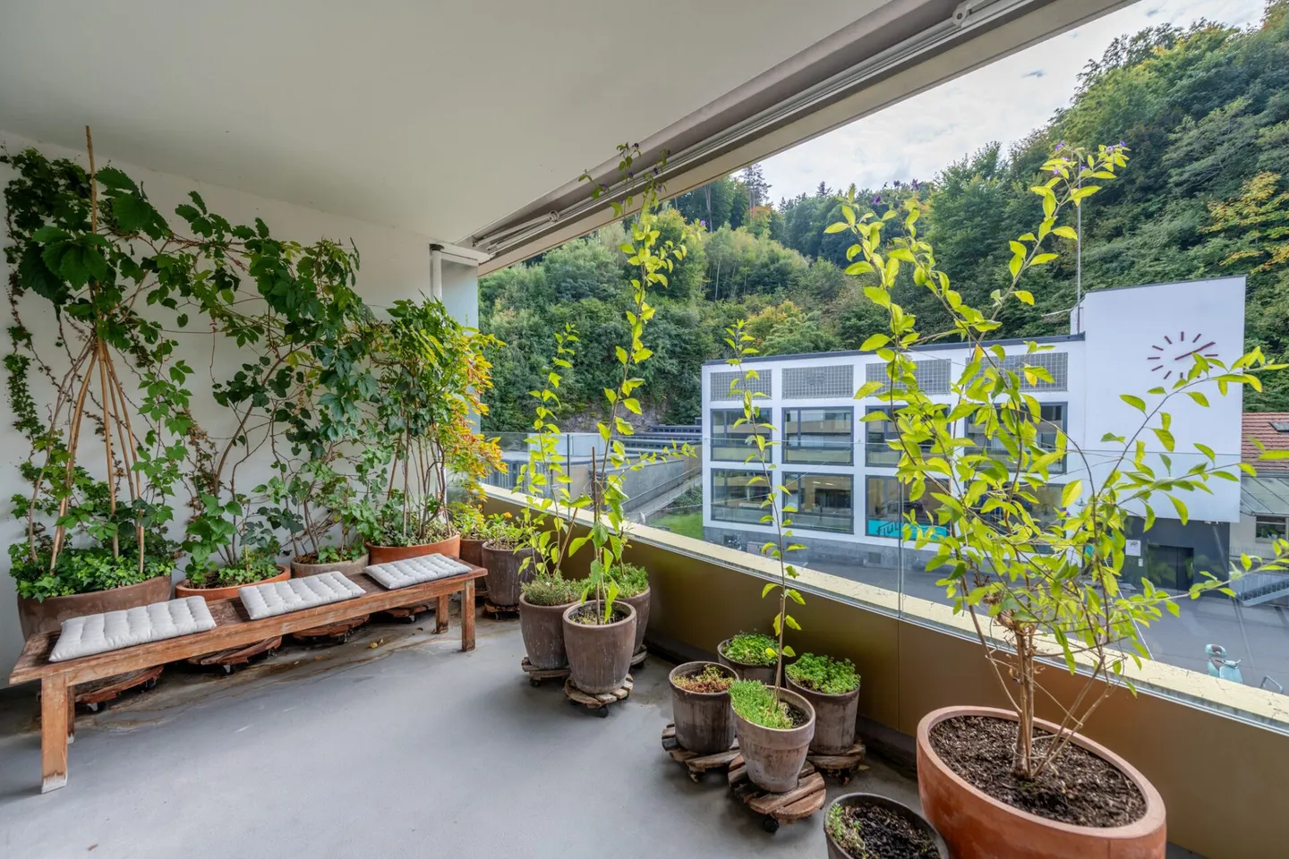 Am Fusse des Hausberges: Exklusive 3.5-Zimmer Wohnung mit Weitsicht - Foto 15 von 21