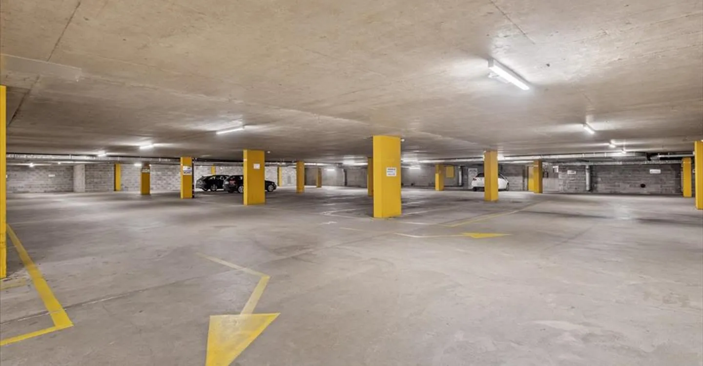 Gewerbe-Arcade in Chêne-Bougeries - Foto 8 von 9