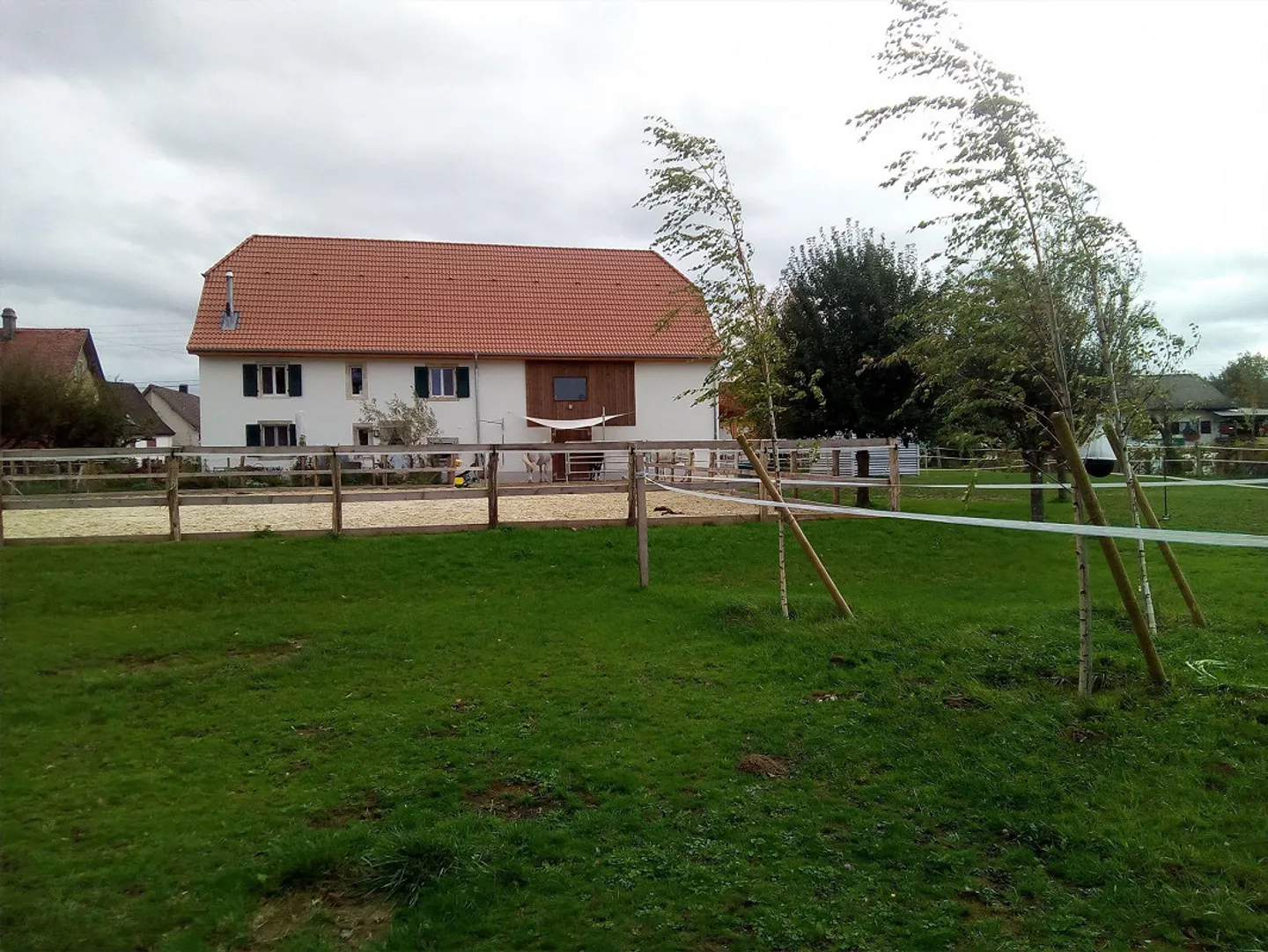 Renovated farmhouse with horse boxes, sand area and pasture - Photo 4 of 22