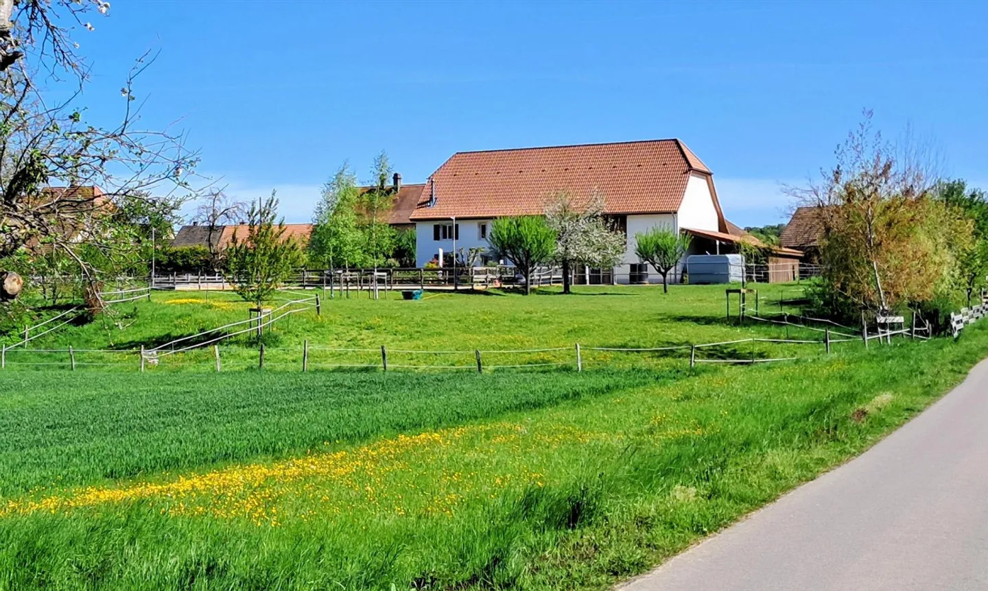 Renovated farmhouse with horse boxes, sand area and pasture - Photo 5 of 22