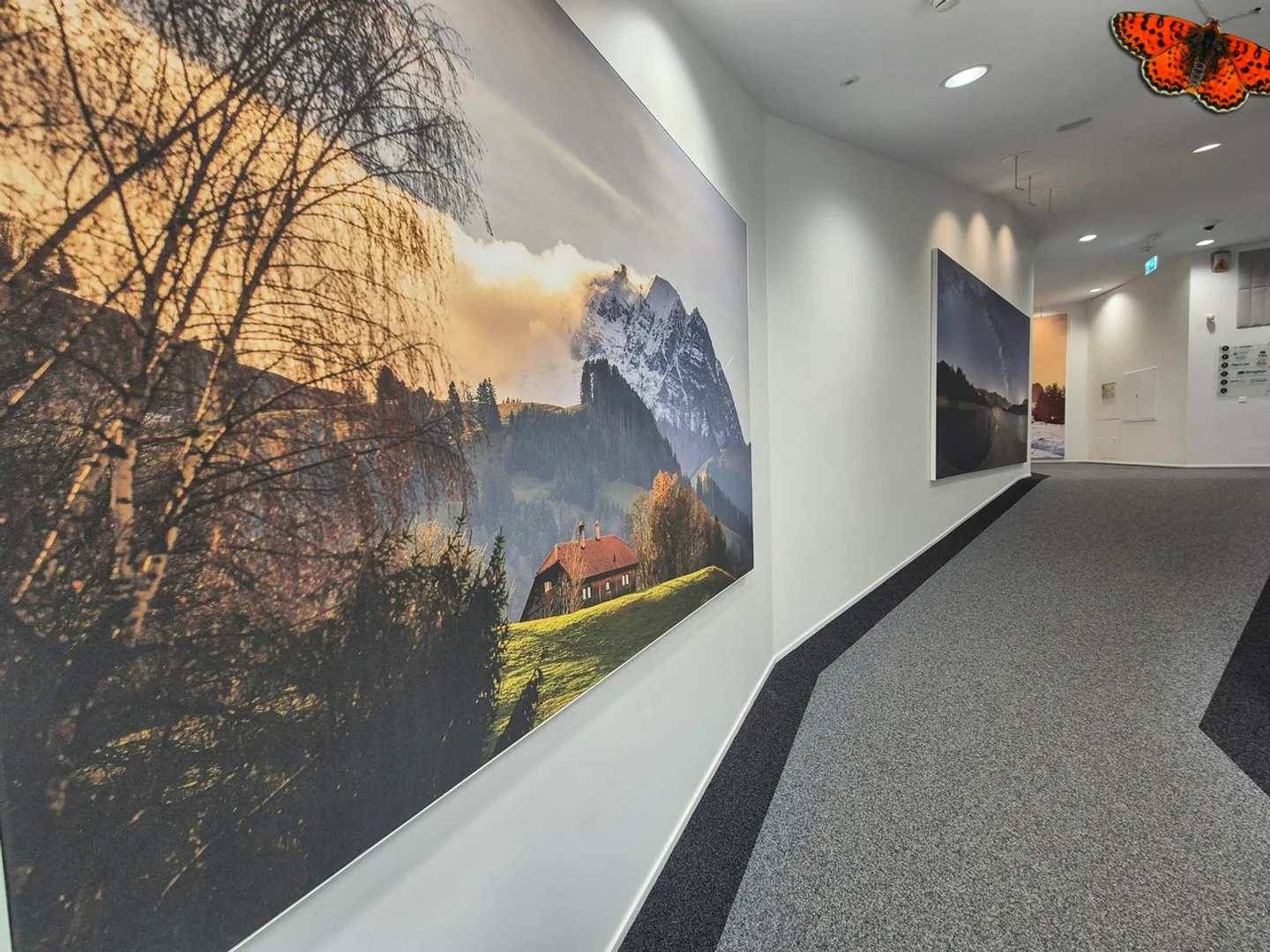 OPPORTUNITY - LARGE OFFICES FOR RENT - BULLE - Photo 4 of 20