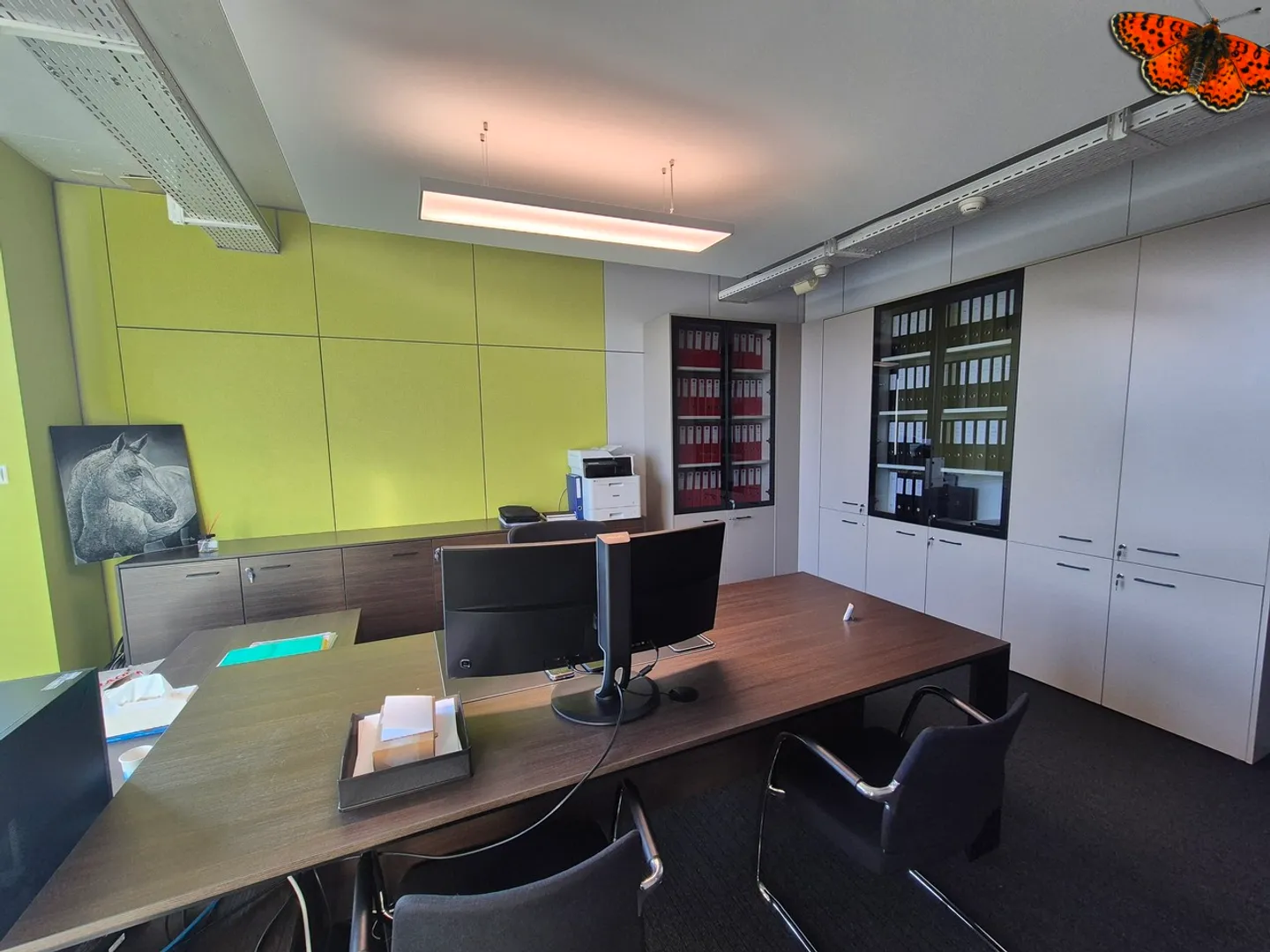 OPPORTUNITY - LARGE OFFICES FOR RENT - BULLE - Photo 8 of 20